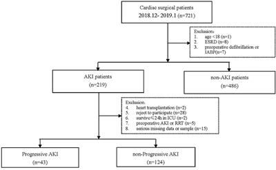 Association Between Syndecan-1, Fluid Overload, and Progressive Acute Kidney Injury After Adult Cardiac Surgery